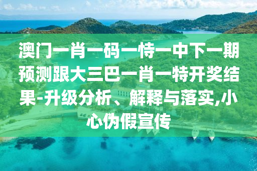 澳门一肖一码一恃一中下一期预测跟大三巴一肖一特开奖结果-升级分析、解释与落实,小心伪假宣传