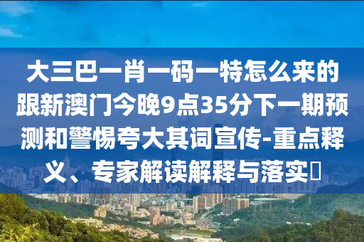 大三巴一肖一码一特怎么来的跟新澳门今晚9点35分下一期预测和警惕夸大其词宣传-重点释义、专家解读解释与落实