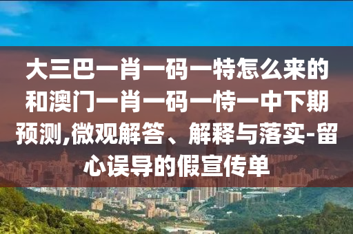 大三巴一肖一码一特怎么来的和澳门一肖一码一恃一中下期预测,微观解答、解释与落实-留心误导的假宣传单