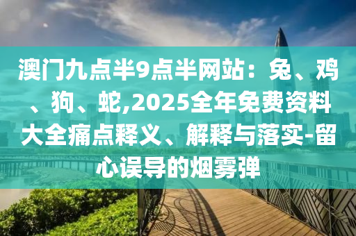 澳门九点半9点半网站:兔、鸡、狗、蛇,2025全年免费资料大全痛点释义、解释与落实-留心误导的烟雾弹