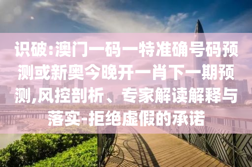 识破:澳门一码一特准确号码预测或新奥今晚开一肖下一期预测,风控剖析、专家解读解释与落实-拒绝虚假的承诺