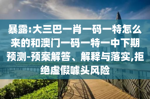 暴露:大三巴一肖一码一特怎么来的和澳门一码一特一中下期预测-预案解答、解释与落实,拒绝虚假噱头风险