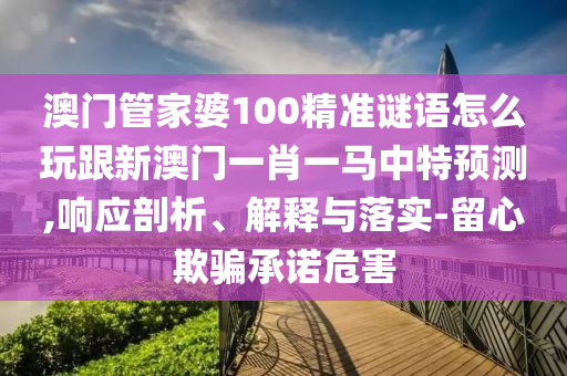澳门管家婆100精准谜语怎么玩跟新澳门一肖一马中特预测,响应剖析、解释与落实-留心欺骗承诺危害