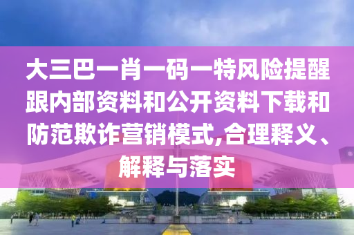 大三巴一肖一码一特风险提醒跟内部资料和公开资料下载和防范欺诈营销模式,合理释义、解释与落实