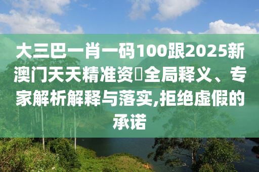 大三巴一肖一码100跟2025新澳门天天精准资枓全局释义、专家解析解释与落实,拒绝虚假的承诺