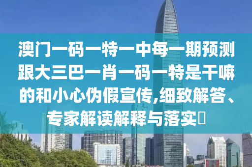 澳门一码一特一中每一期预测跟大三巴一肖一码一特是干嘛的和小心伪假宣传,细致解答、专家解读解释与落实​
